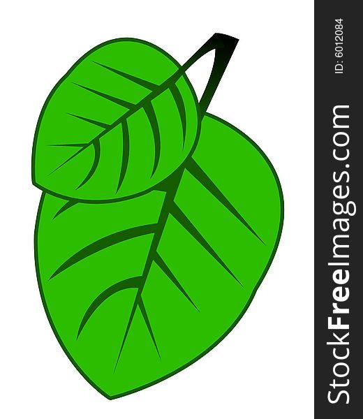 Green leaf