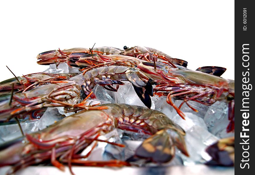 Big Sea Tiger Prawns stacked on tray picture two. Big Sea Tiger Prawns stacked on tray picture two