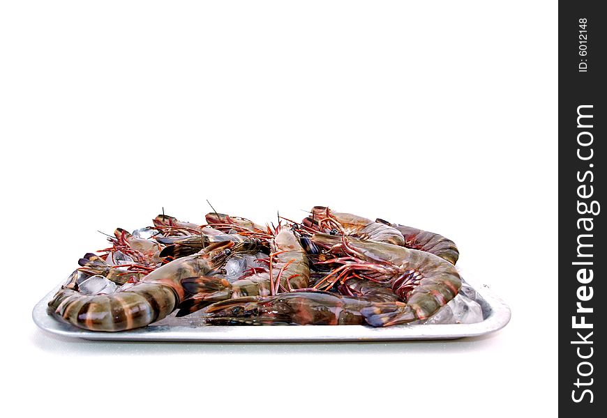 Big Sea Tiger Prawns Pile Ice