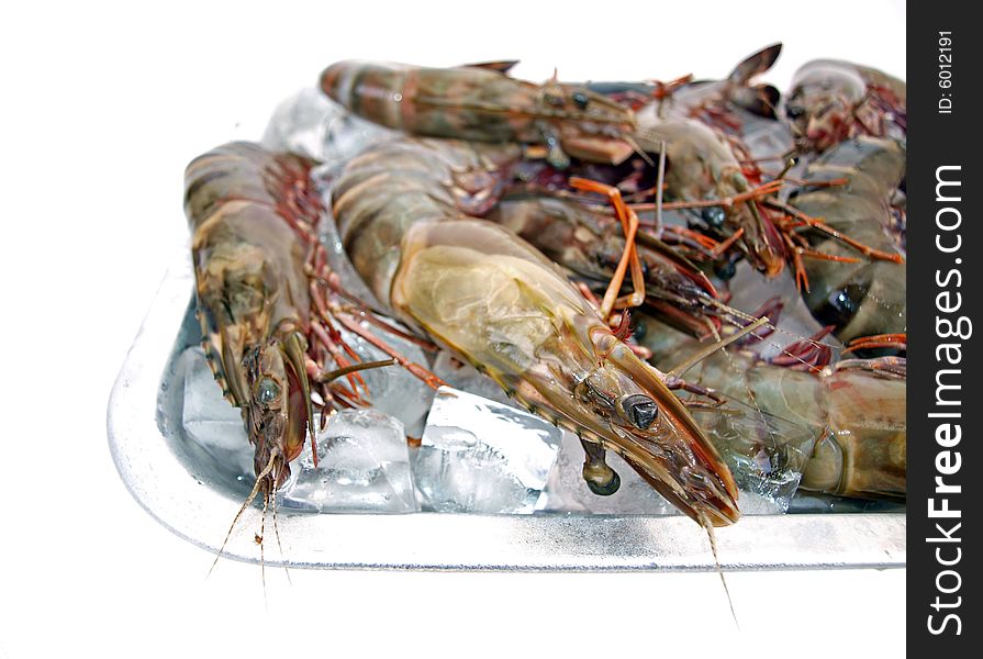 Big Sea Tiger Prawns stacked on tray picture four. Big Sea Tiger Prawns stacked on tray picture four