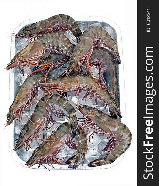 Big Sea Tiger Prawns stacked on steel tray top view. Big Sea Tiger Prawns stacked on steel tray top view