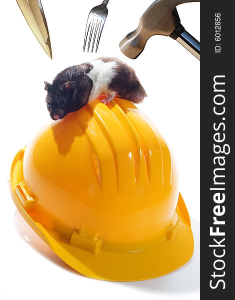 Hamster upon a helmet and threatened by a knife, a fork and a hammer. Hamster upon a helmet and threatened by a knife, a fork and a hammer