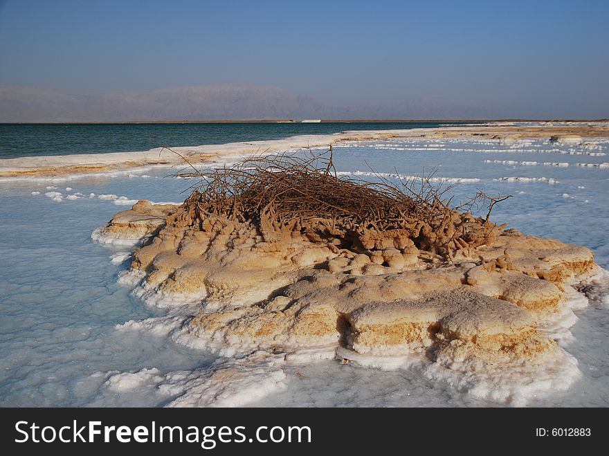 Salt on dead sea in the rays of sunset by evening