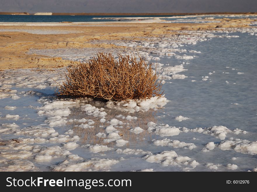 Salt on dead sea in the rays of sunset by evening