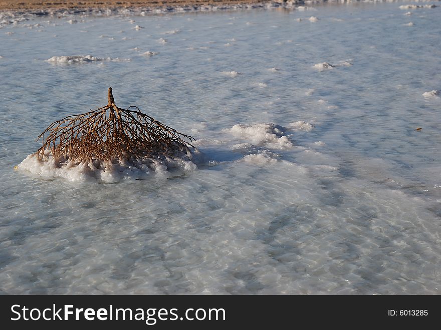 Salt on dead sea in the rays of sunset by evening