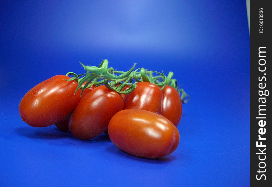 Isolated fresh italian tomatoes - isolated on blue background