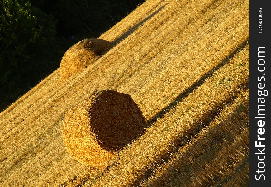 A suggestive shot of hay's rolls in a field in Tuscany