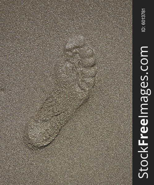 Footstep In The Sandy Beach