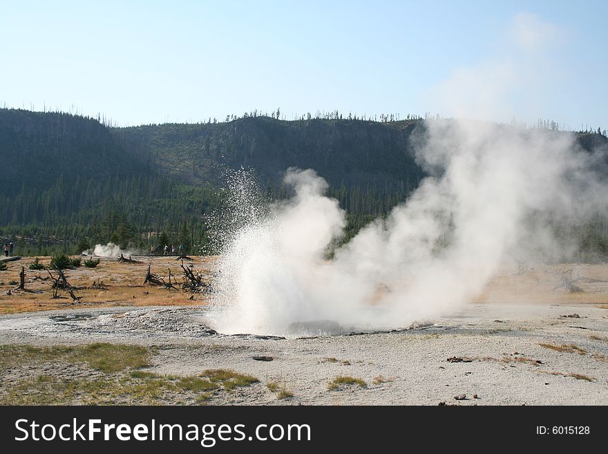 Geyser from hot spring on the background of forest hills