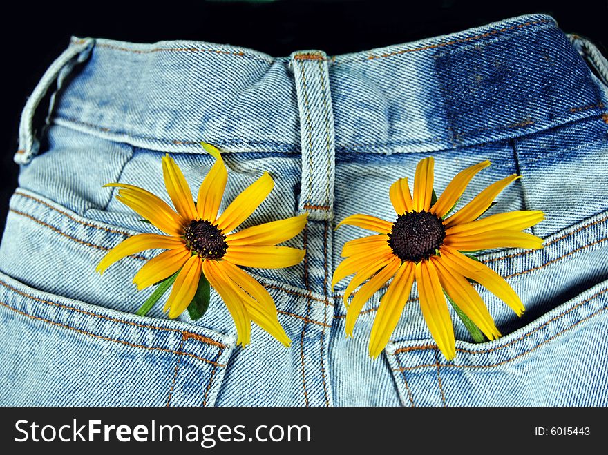 Fun flowers in blue jean pockets. Fun flowers in blue jean pockets.