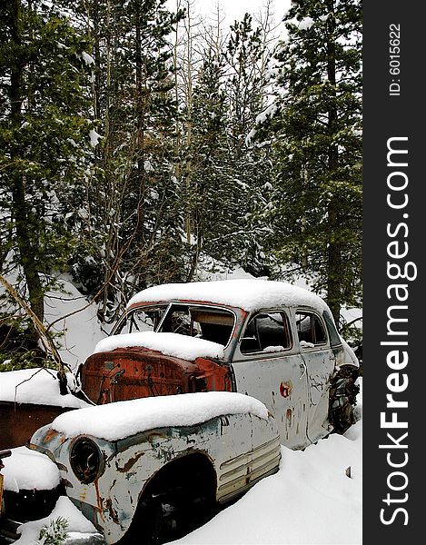 A vintage car left to rust in a secluded spot in the Rocky Mountain forest. A vintage car left to rust in a secluded spot in the Rocky Mountain forest.