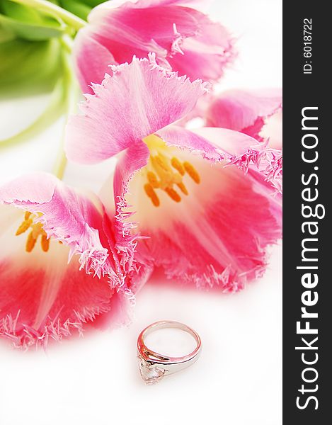 Pink tulips and ring, engagement concept