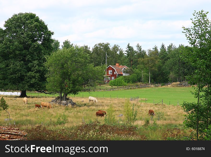 Buildings and landscape in sweden. Buildings and landscape in sweden