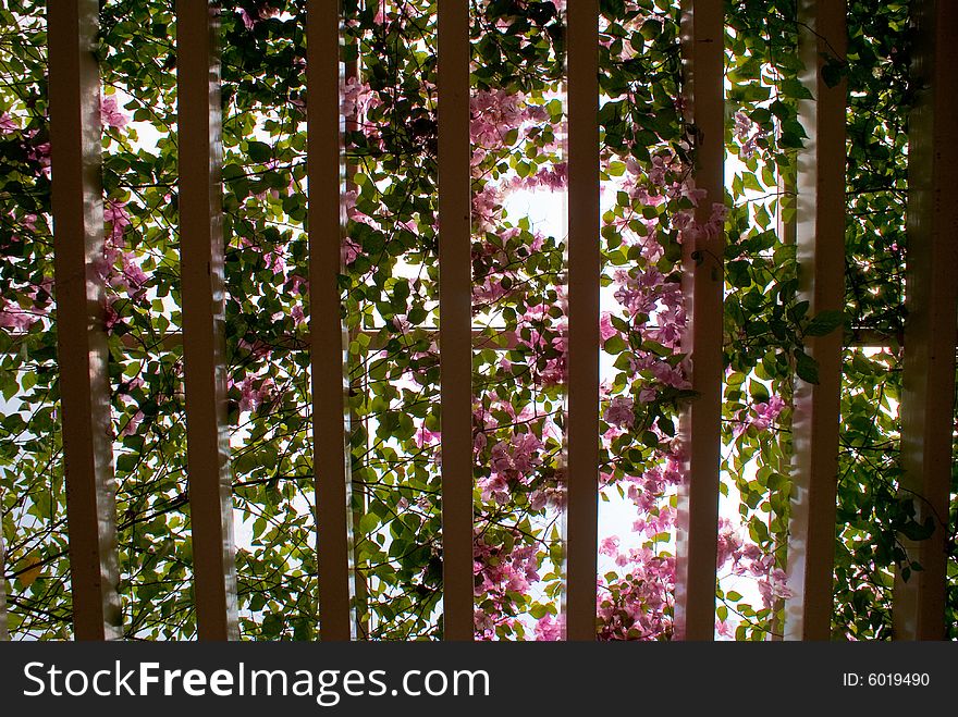 Natural ceiling with pink flowers and green liane