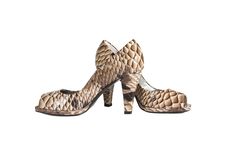 Beautiful Fashionable Female Shoes From A Leather Stock Photos Beautiful Fashionable Female Shoes From A Leather Stock Photos