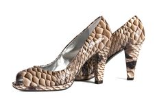 Beautiful Fashionable Female Shoes From A Leather Royalty Free Stock Image Beautiful Fashionable Female Shoes From A Leather Royalty Free Stock Image