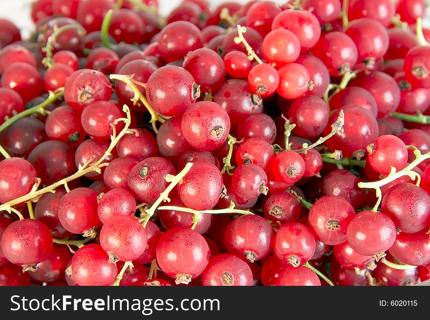 Red currant in a glassware