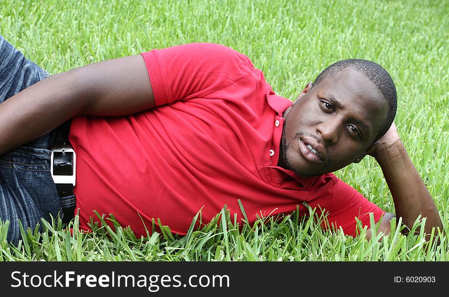 Male laying on his side on a field of grass. Male laying on his side on a field of grass