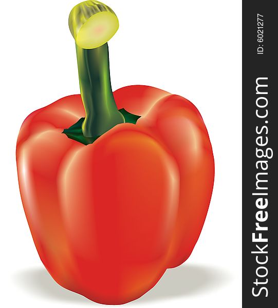 Red pepper on a white background, an illustration