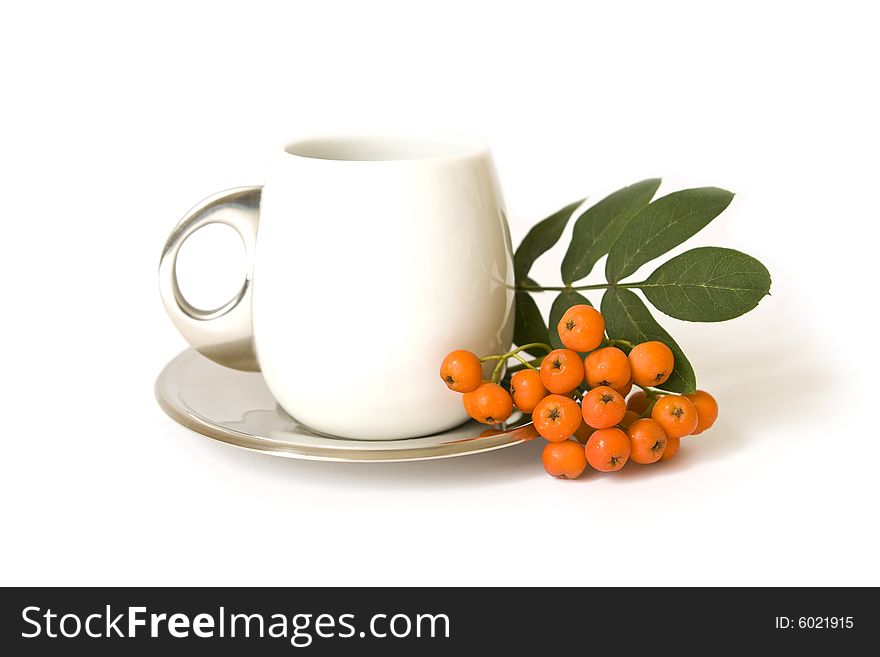 Ceramic cup and mountain ash isolated on a white background