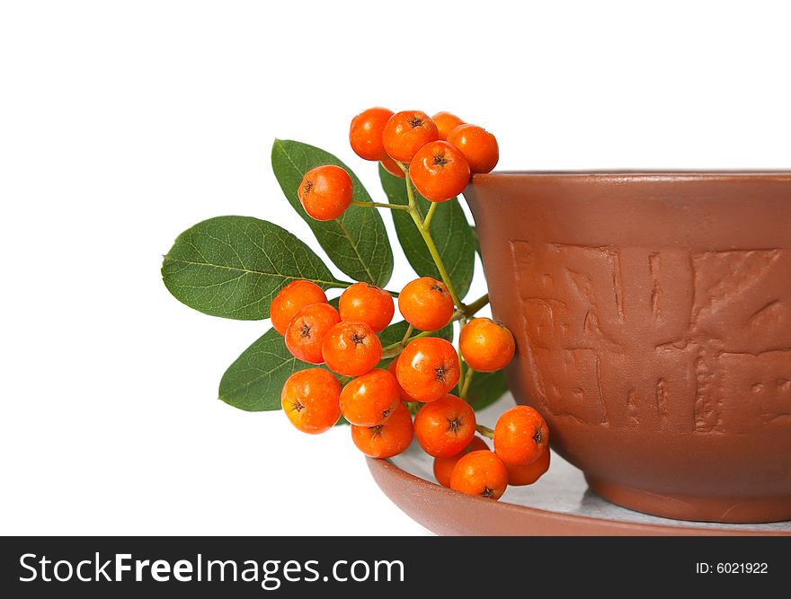 Ceramic cup and mountain ash isolated on a white background