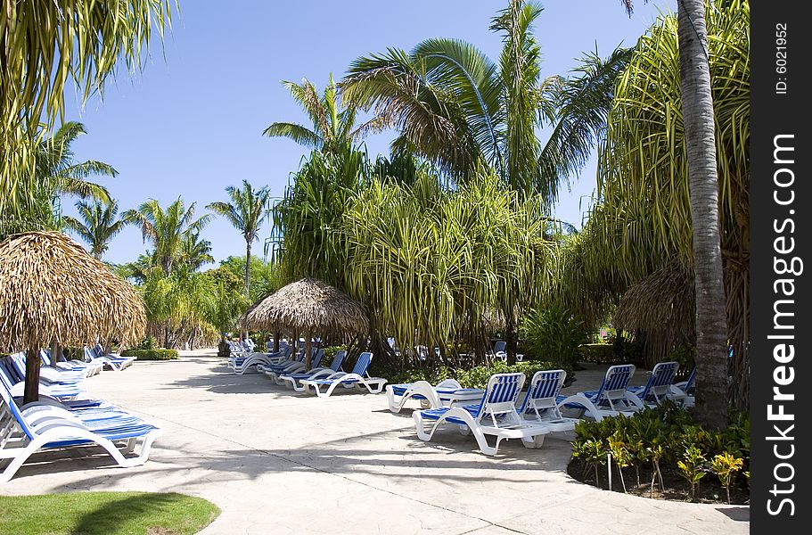 Beautiful entrance to tropical pool area with palms and blue and white chairs. Beautiful entrance to tropical pool area with palms and blue and white chairs