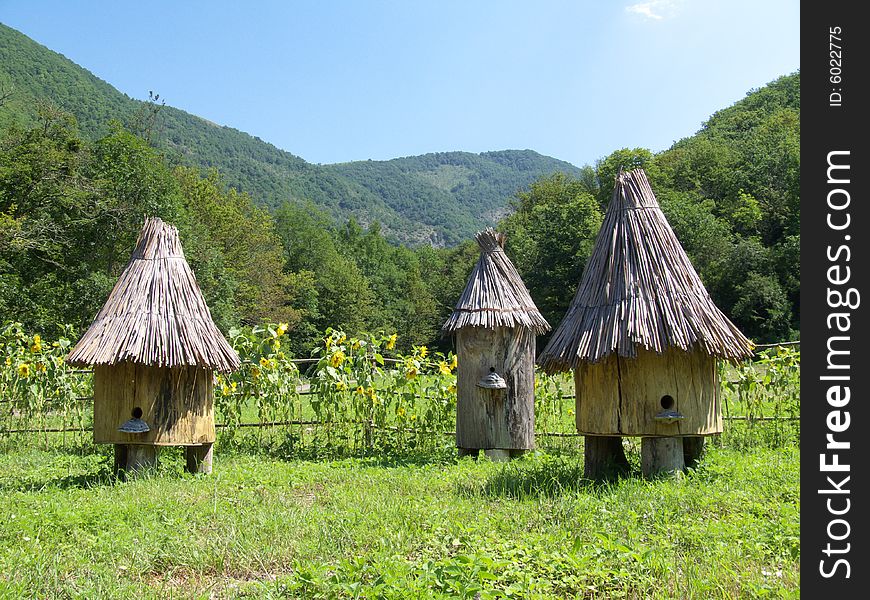 Funny bee home near mountain. Funny bee home near mountain