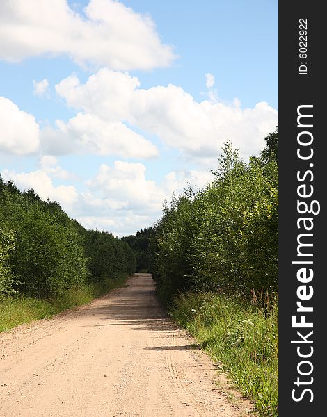 The country road leaving in forest. Landscape. Russia