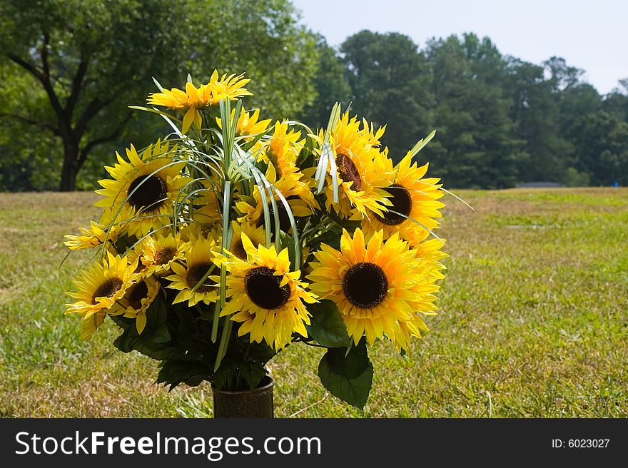 A vase of bright sunflowers in a field of grass. A vase of bright sunflowers in a field of grass