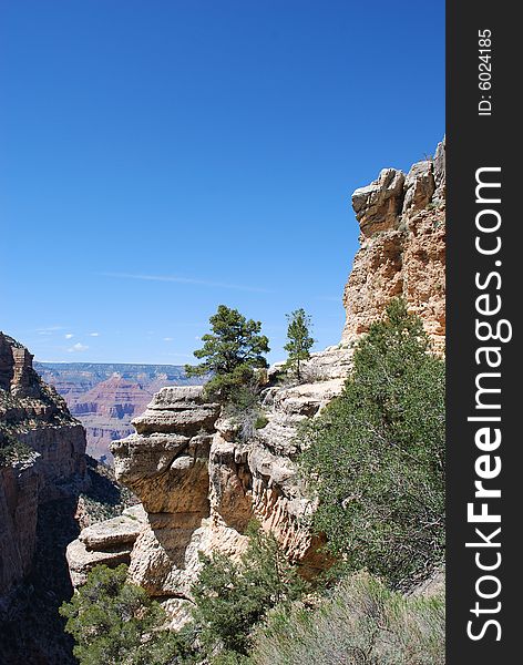 Trees on cliffs, Grand Canyon National Park, Arizona, USA