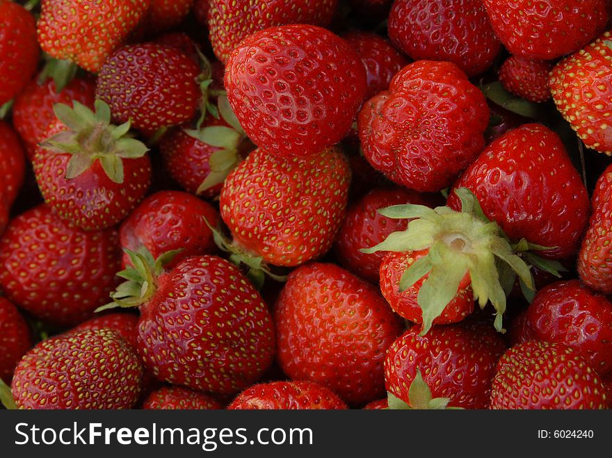 Many red ripe juicy strawberries with sepals