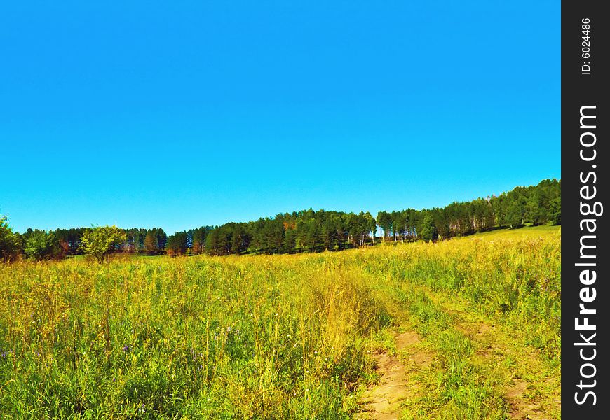 Summer field with road to hill forest