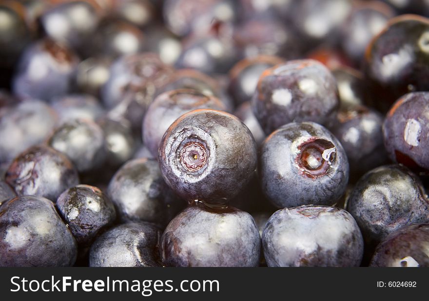 Blueberry on white ground close-up