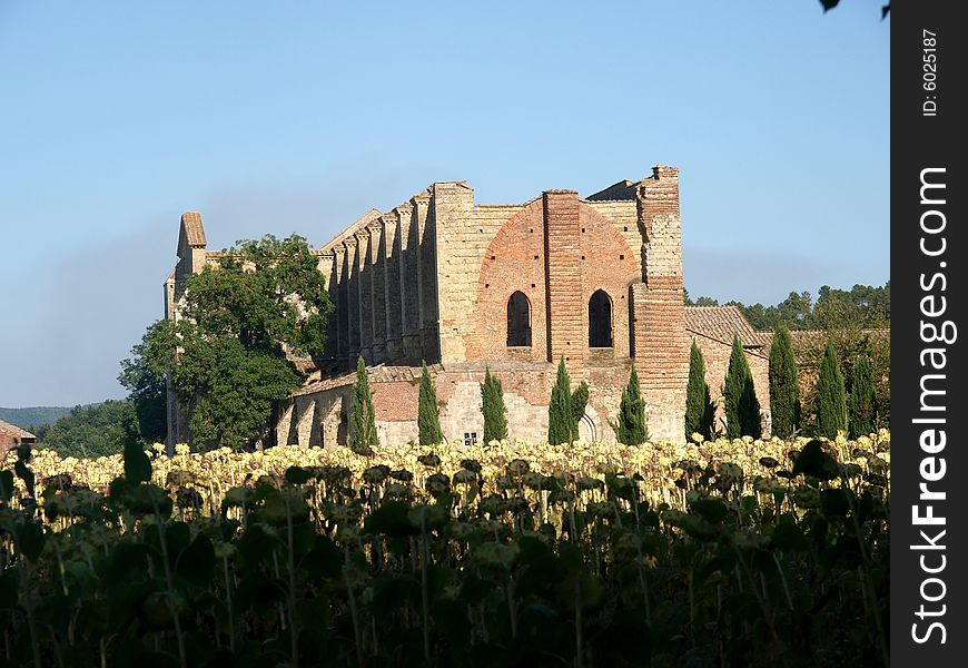 Landscape Of S.Galgano Abbey