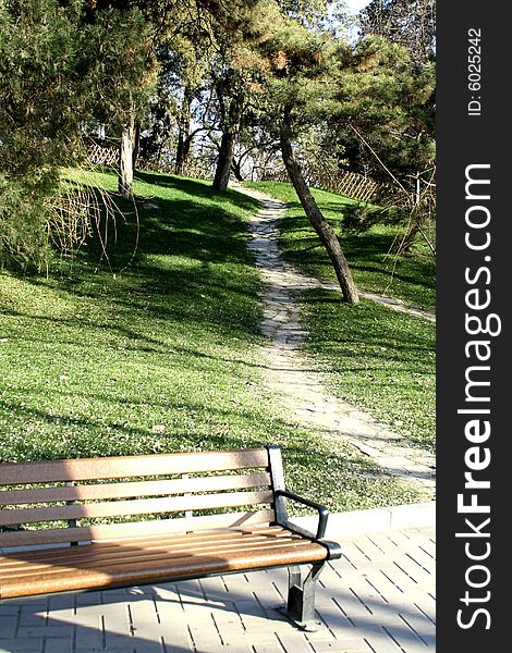 Bench under a upward alley in sunshine