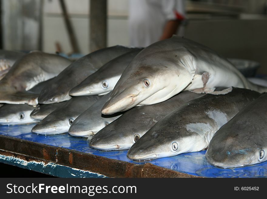 Sharks on Market at Kota Kinabalu, Malaisia