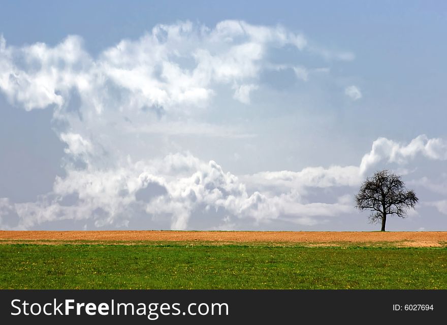 This image shows a lonely tree with sky and clouds. This image shows a lonely tree with sky and clouds