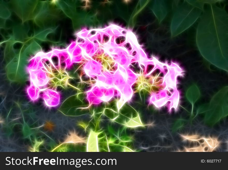 Floral fantasy, illustration, abstract type of flora. Floral fantasy, illustration, abstract type of flora