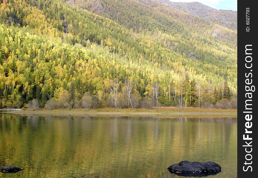 Autumn trees mirrored in lake. Autumn trees mirrored in lake.