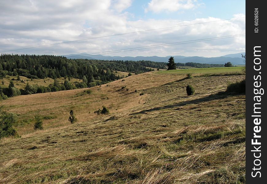 Late afernoon, meadow under western Tatra mountains. Theese large meadows are used as pasture lands for sheep herds. Late afernoon, meadow under western Tatra mountains. Theese large meadows are used as pasture lands for sheep herds...