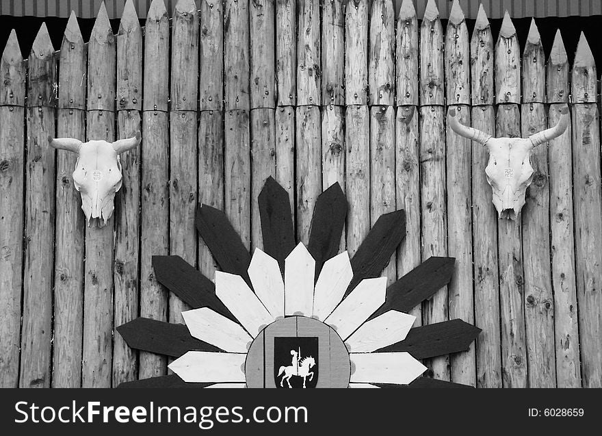 The cow skull hanging on a fence