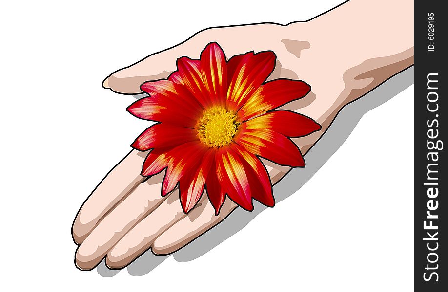 The red flower lays on a female palm. An illustration. The red flower lays on a female palm. An illustration.