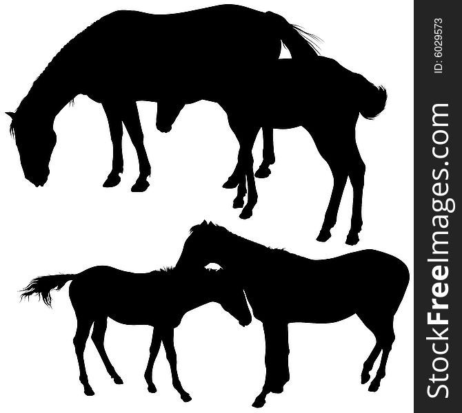 Horses Silhouettes 6 - detailed silhouette illustrations as vector