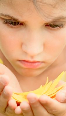 Beauty Teen Girl And Floral Petal Royalty Free Stock Photo Beauty Teen Girl And Floral Petal Royalty Free Stock Photo