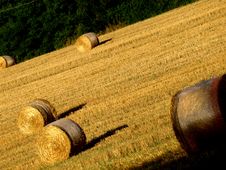 Hay S Rolls Royalty Free Stock Photography Hay S Rolls Royalty Free Stock Photography