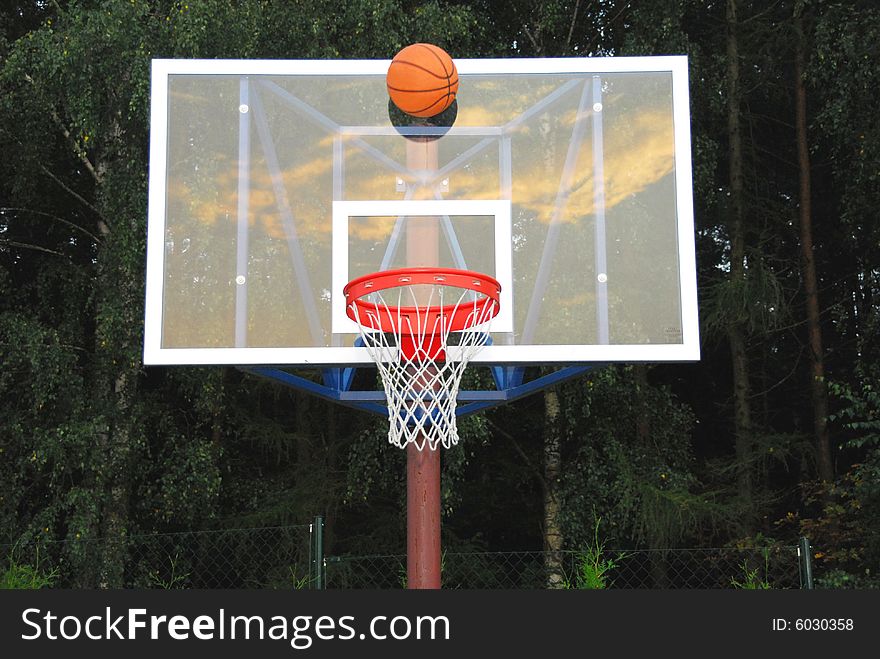 Basketball table on the background of forest