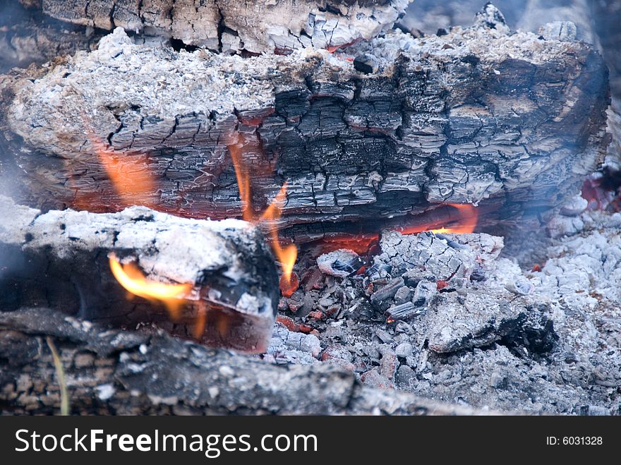 Cook out fire with rock ring around it