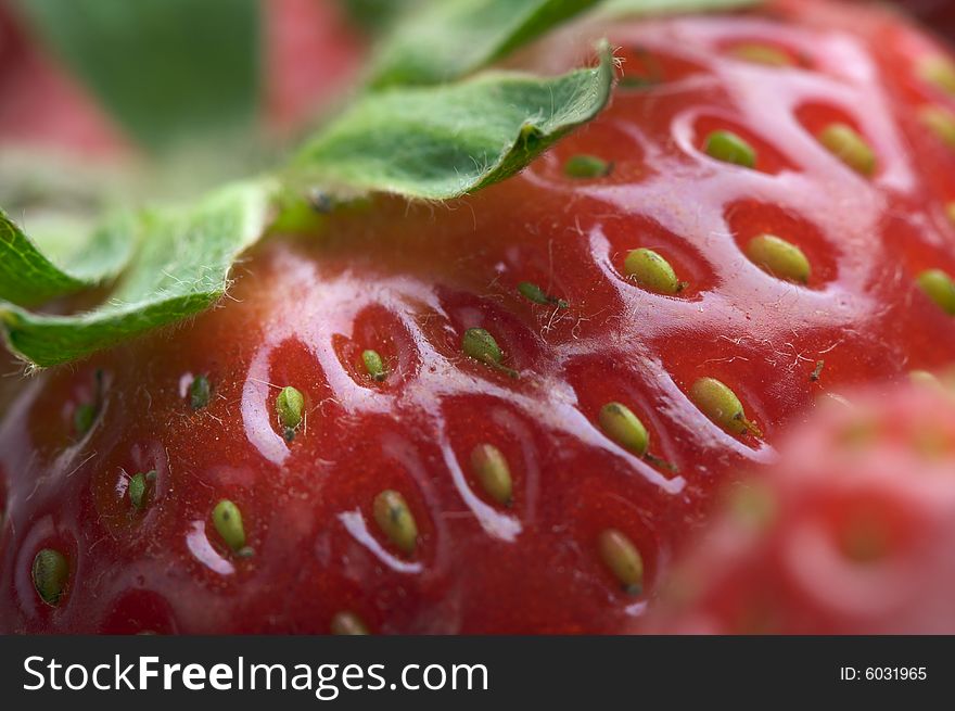 Macro of Fresh Strawberry Series. Macro of Fresh Strawberry Series