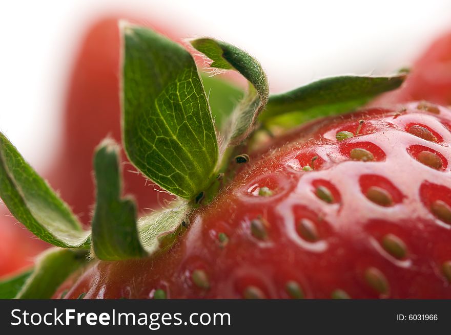 Macro of Fresh Strawberry Series. Macro of Fresh Strawberry Series