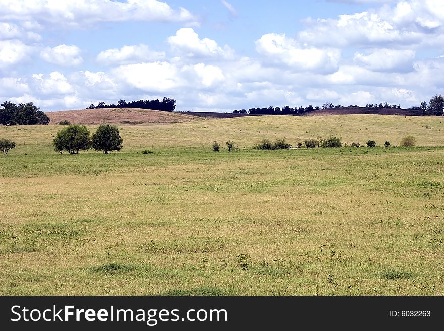 Field for grazing live stock , cattle horses etc.